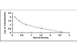 Typical standard curve (IgG ELISA Kit)