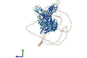 AlphaFold protein structure predicition of Mouse Recombinant Ap3b1 Protein, UniprotID Q9Z1T1 (AP3B1 Protein (AA 1-1105) (His tag))
