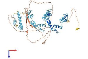 AlphaFold protein structure predicition of Human Recombinant ZNF324B Protein, UniprotID Q6AW86