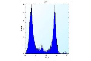 VPS37B Antibody (Center) 12426c flow cytometric analysis of  cells (right histogram) compared to a negative control cell (left histogram). (VPS37B antibody  (AA 99-127))