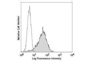 Flow Cytometry (FACS) image for anti-Tumor Necrosis Factor Receptor Superfamily, Member 13B (TNFRSF13B) antibody (ABIN2664462) (TACI antibody)