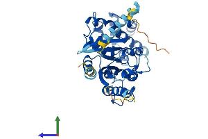 AlphaFold protein structure predicition of Human Recombinant GNA15 Protein, UniprotID P30679 (GNA15 Protein (AA 1-374) (His tag))