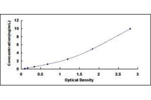 Typical standard curve (PTGS2 ELISA Kit)