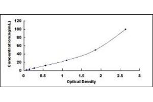 Typical standard curve (DLAT ELISA Kit)