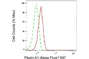 anti-Plexin A1 (PLXNA1) antibody