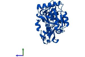 Protein Structure (PS) image for Prostaglandin Reductase 1 (PTGR1) (AA 1-329) protein (His tag) (ABIN7551097)