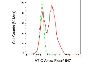 Flow cytometric analysis of ATIC expression in C2C12 cells using ATIC antibody (ABIN7797425), 1:2,000).