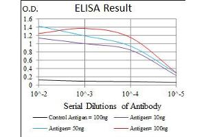 Image no. 4 for anti-Integrin beta 1 (ITGB1) antibody (ABIN1498893) (ITGB1 antibody)