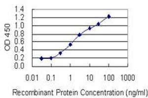 Detection limit for recombinant GST tagged RAB11FIP3 is 0. (RAB11FIP3 antibody  (AA 655-754))