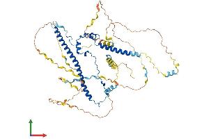 Protein Structure (PS) image for WAS Protein Family, Member 1 (WASF1) (AA 1-559) protein (His tag) (ABIN7545109)