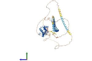Protein Structure (PS) image for TNF Receptor-Associated Factor 3 Interacting Protein 1 (TRAF3IP1) (AA 1-625) protein (His tag) (ABIN7563632)