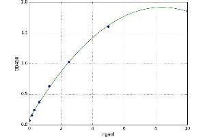Phosphorylase, Glycogen, Muscle (PYGM) ELISA Kit
