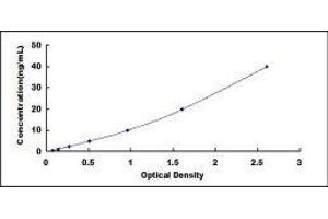 ELISA image for Mucin 5 Subtype B (MUC5B) ELISA Kit (ABIN415657)
