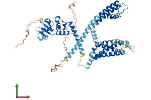 AlphaFold protein structure predicition of Mouse Recombinant Kcnf1 Protein, UniprotID Q7TSH7 (KCNF1 Protein (AA 1-493) (His tag))