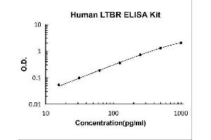 Lymphotoxin beta Receptor (TNFR Superfamily, Member 3) (LTBR) ELISA Kit