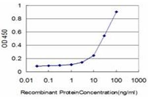 Detection limit for recombinant GST tagged CREB5 is approximately 3ng/ml as a capture antibody. (CREB5 antibody  (AA 1-99))