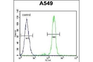 CEP70 Antibody (Center) (ABIN654603 and ABIN2844302) flow cytometric analysis of A549 cells (right histogram) compared to a negative control cell (left histogram). (CEP70 antibody  (AA 309-338))