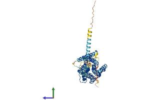 AlphaFold protein structure predicition of Human Recombinant GPR52 Protein, UniprotID Q9Y2T5 (GPR52 Protein (AA 1-361) (His tag))
