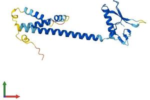 Protein Structure (PS) image for RPA Interacting Protein (RPAIN) (AA 1-219) protein (His tag) (ABIN7560697)