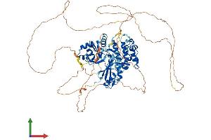 AlphaFold protein structure predicition of Mouse Recombinant Mark2 Protein, UniprotID Q05512 (MARK2 Protein (AA 1-776) (His tag))