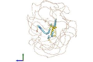 AlphaFold protein structure predicition of Human Recombinant RTN4 Protein, UniprotID Q9NQC3 (Reticulon 4 Protein (RTN4) (AA 1-1192) (His tag))