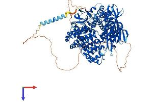 LNPEP Protein (AA 1-1025) (His tag)