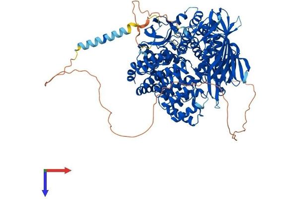 LNPEP Protein (AA 1-1025) (His tag)