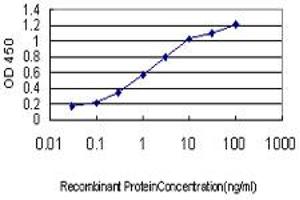 Detection limit for recombinant GST tagged HOXB1 is approximately 0. (HOXB1 antibody  (AA 1-74))