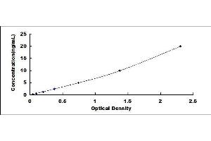 Prostaglandin D2 Synthase (PTGDS) ELISA Kit