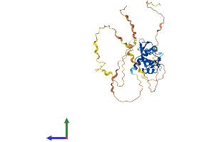 AlphaFold protein structure predicition of Human Recombinant SH2D2A Protein, UniprotID Q9NP31