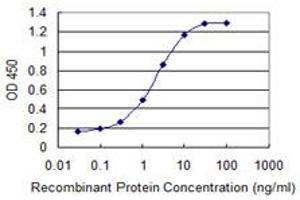 Detection limit for recombinant GST tagged SKIL is 0. (SKIL antibody  (AA 236-313))