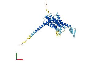 AlphaFold protein structure predicition of Human Recombinant FITM1 Protein, UniprotID A5D6W6