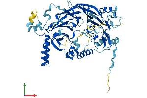 AlphaFold protein structure predicition of Mouse Recombinant Det1 Protein, UniprotID Q9D0A0 (DET1 Protein (DET1) (AA 1-550) (His tag))