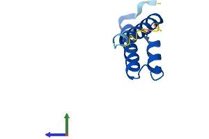 AlphaFold protein structure predicition of Mouse Recombinant Coa6 Protein, UniprotID Q8BGD8