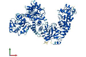 AlphaFold protein structure predicition of Human Recombinant TCAF2 Protein, UniprotID A6NFQ2