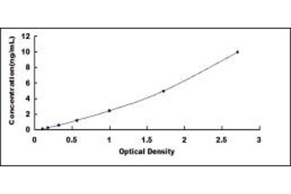 RS1 ELISA Kit