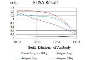 Black line: Control Antigen (100 ng), Purple line: Antigen(10 ng), Blue line: Antigen (50 ng), Red line: Antigen (100 ng), (ALDH2 antibody  (AA 317-517))