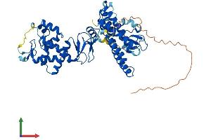 AlphaFold protein structure predicition of Mouse Recombinant Arih2 Protein, UniprotID Q9Z1K6 (ARIH2 Protein (AA 1-492) (His tag))