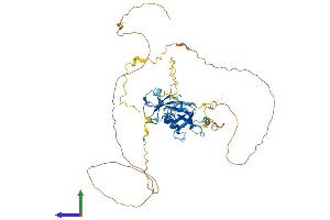 Protein Structure (PS) image for Doublecortin Domain Containing 2 (DCDC2) (AA 1-476) protein (His tag) (ABIN7547010)