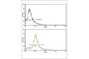 Flow Cytometry (FACS) image for anti-3-Hydroxy-3-Methylglutaryl-CoA Synthase 1 (Soluble) (HMGCS1) antibody (ABIN3002731) (HMGCS1 antibody)