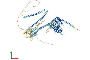 Protein Structure (PS) image for TBC1 Domain Family, Member 2 (TBC1D2) (AA 1-928) protein (His tag) (ABIN7555752)