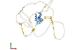 AlphaFold protein structure predicition of Human Recombinant FOXD1 Protein, UniprotID Q16676 (FOXD1 Protein (AA 1-465) (His tag))