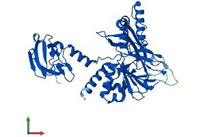 Protein Structure (PS) image for butyrobetaine (Gamma), 2-Oxoglutarate Dioxygenase (Gamma-butyrobetaine Hydroxylase) 1 (BBOX1) (AA 1-387) protein (His tag) (ABIN7552813)