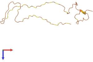Keratin Associated Protein 5-6 (KRTAP5-6) (AA 1-129) protein (His tag)