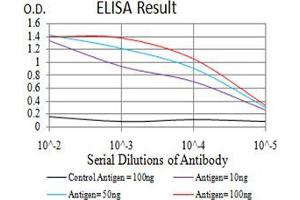 Black line: Control Antigen (100 ng), Purple line: Antigen(10 ng), Blue line: Antigen (50 ng), Red line: Antigen (100 ng), (ATG13 antibody  (AA 339-550))