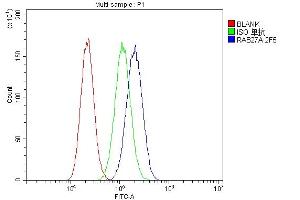 Flow Cytometry analysis of U87 cells using anti-RAB27A antibody (ABIN7602714). (RAB27A antibody  (AA 98-216))