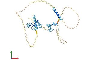 AlphaFold protein structure predicition of Human Recombinant ZC3H8 Protein, UniprotID Q8N5P1