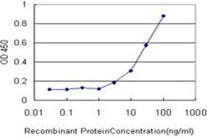 Detection limit for recombinant GST tagged KCNE1 is approximately 3ng/ml as a capture antibody. (KCNE1 antibody  (AA 1-105))