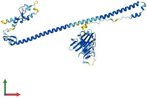 Protein Structure (PS) image for Tripartite Motif Containing 38 (TRIM38) (AA 1-465) protein (His tag) (ABIN7544588)