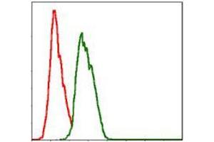 Flow cytometric analysis of Hela cells using NEDD8 mouse mAb (green) and negative control (red). (NEDD8 antibody)